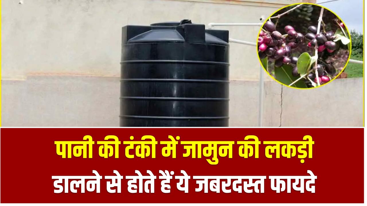 Jamun Wood in Water Tank: पानी की टंकी में जामुन की लकड़ी डालने से होते हैं ये जबरदस्त फायदे